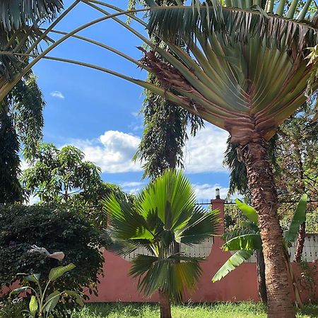 Bungalow X Garten & Terrasse X Wlan X Europaeisch Moshi Buitenkant foto