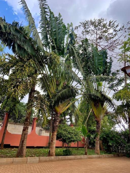 Bungalow X Garten & Terrasse X Wlan X Europaeisch Moshi Buitenkant foto