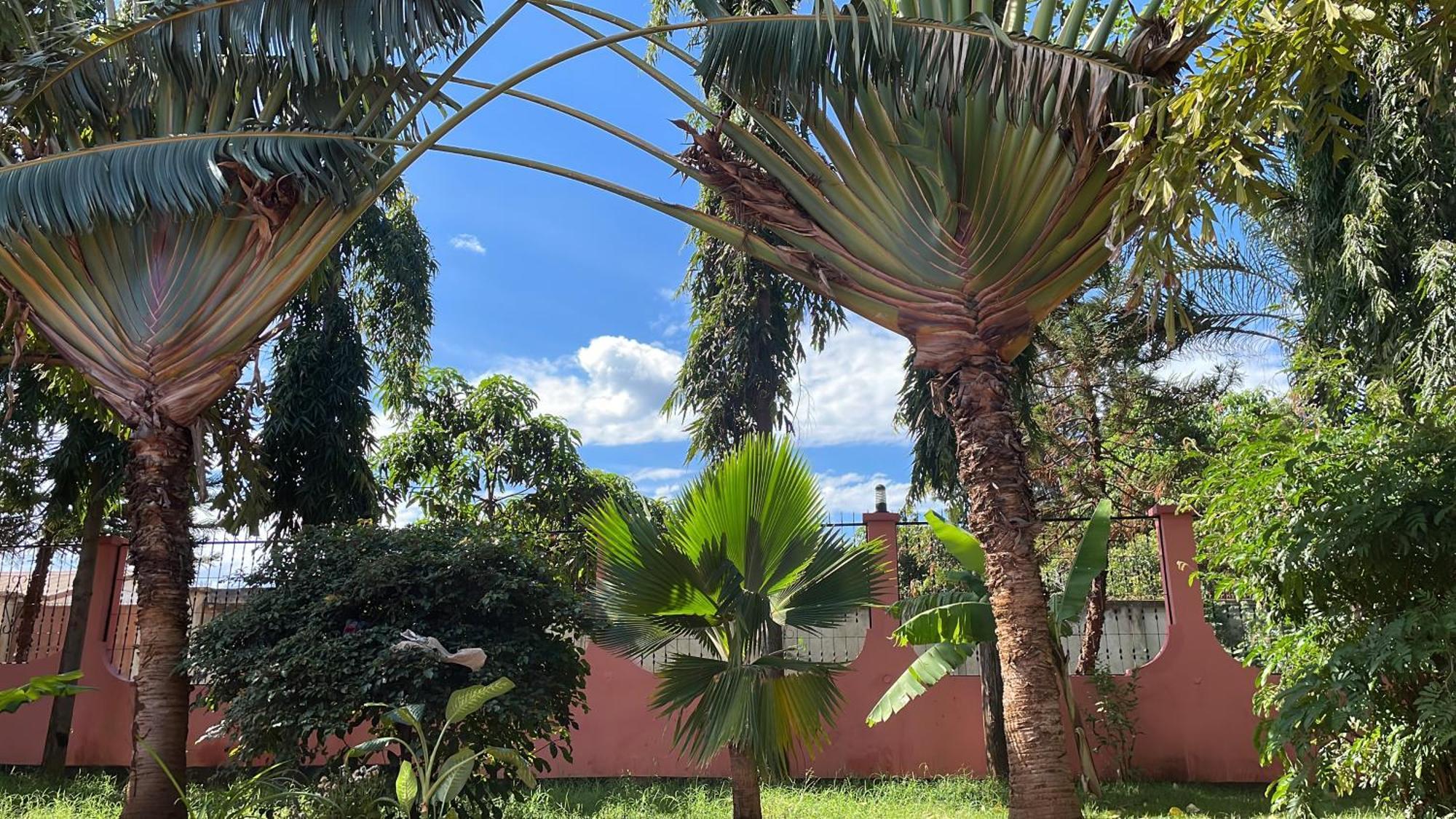 Bungalow X Garten & Terrasse X Wlan X Europaeisch Moshi Buitenkant foto